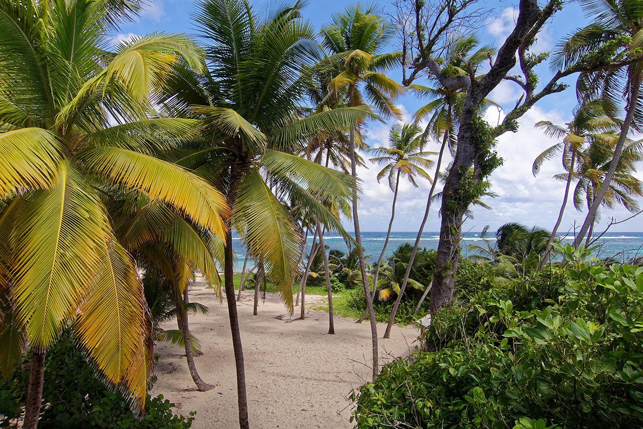 Location Voiture Macouba Martinique avec LVM Réservation 24/7