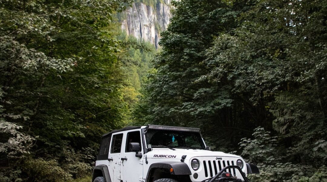 Explorer les Gorges de la Falaise en voiture